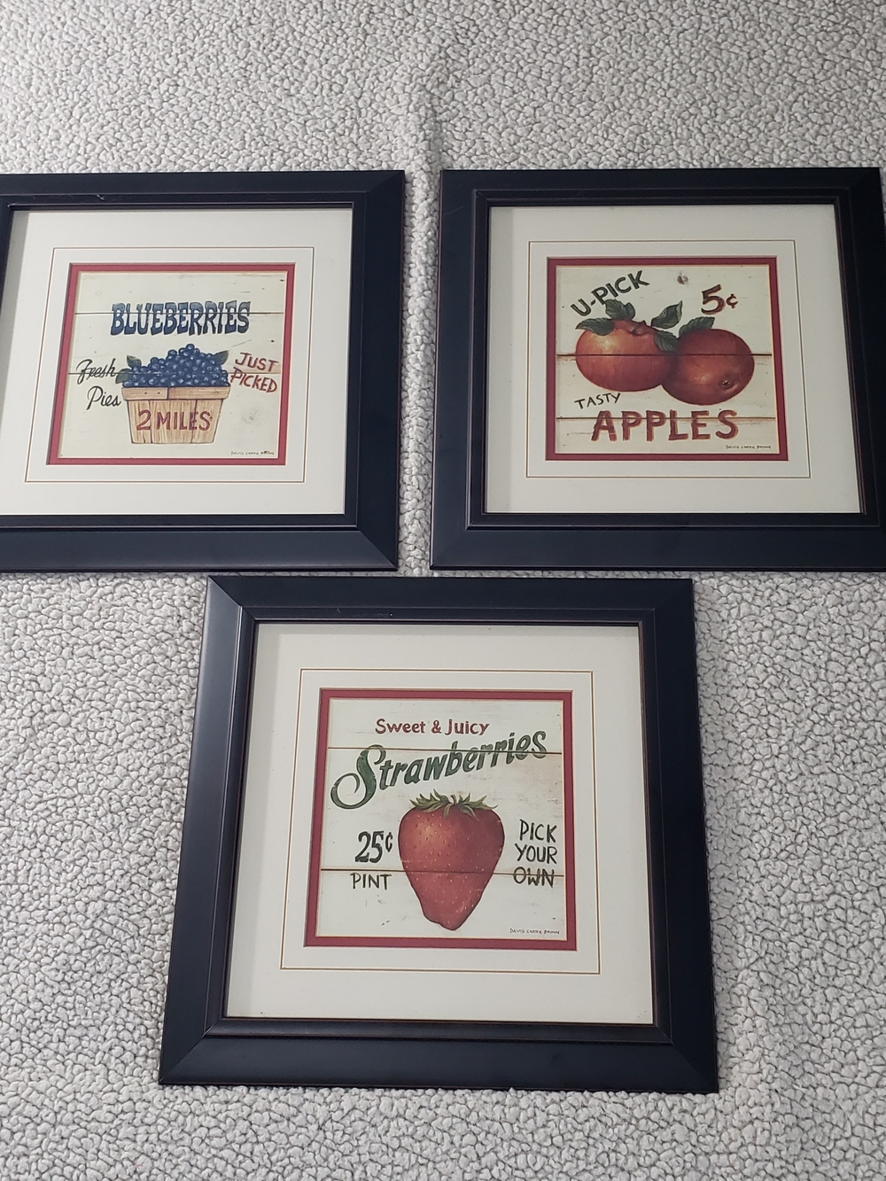 Kohl's HomeStudio Set of 3 | Vintage Farmhouse Fruit Framed Wall Art | 10" x 10"